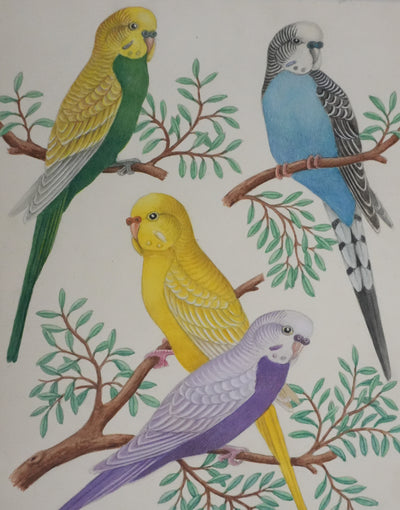 Louis DELAPCHIER : Perruches colorées, Aquarelle originale signée