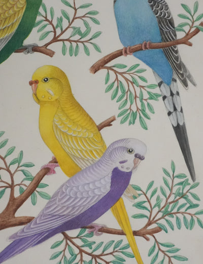 Louis DELAPCHIER : Perruches colorées, Aquarelle originale signée