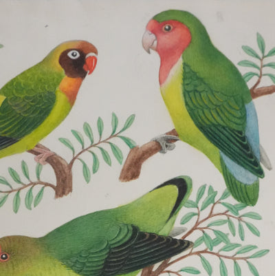 Louis DELAPCHIER : Petits perroquets verts, Aquarelle originale signée