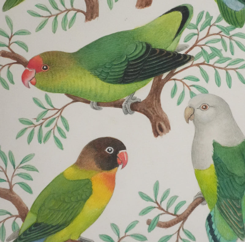 Louis DELAPCHIER : Petits perroquets verts, Aquarelle originale signée