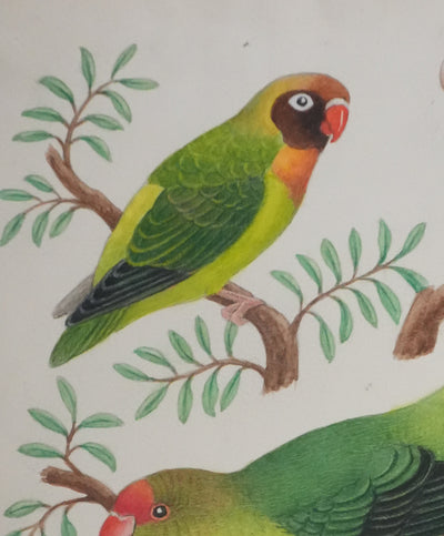 Louis DELAPCHIER : Petits perroquets verts, Aquarelle originale signée