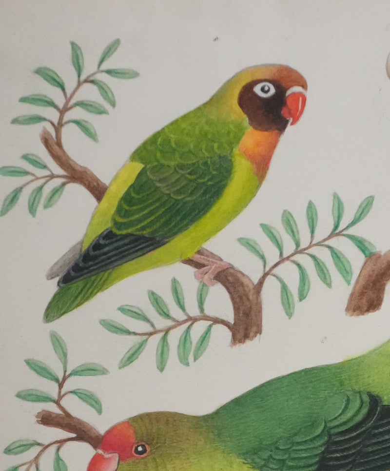 Louis DELAPCHIER : Petits perroquets verts, Aquarelle originale signée
