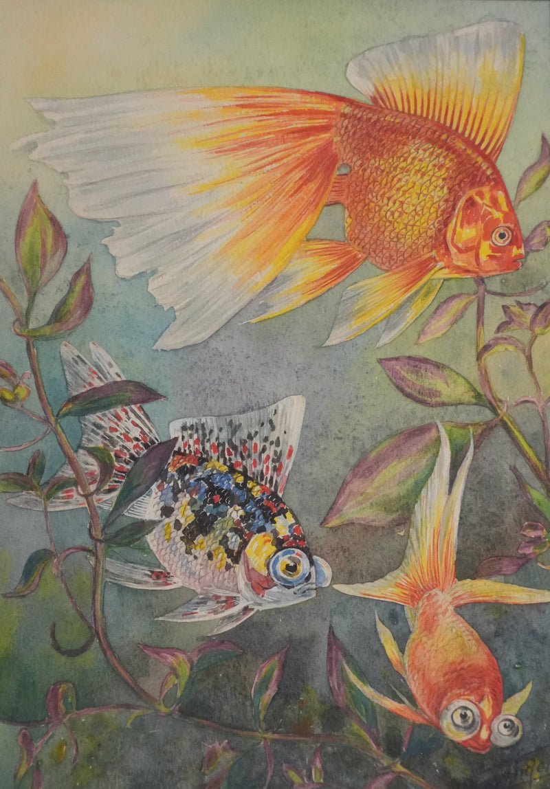 Fernand ANGEL : Carassin doré (télescope, queue en voile et bigarré), Aquarelle originale signée