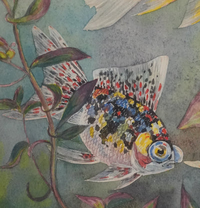 Fernand ANGEL : Carassin doré (télescope, queue en voile et bigarré), Aquarelle originale signée