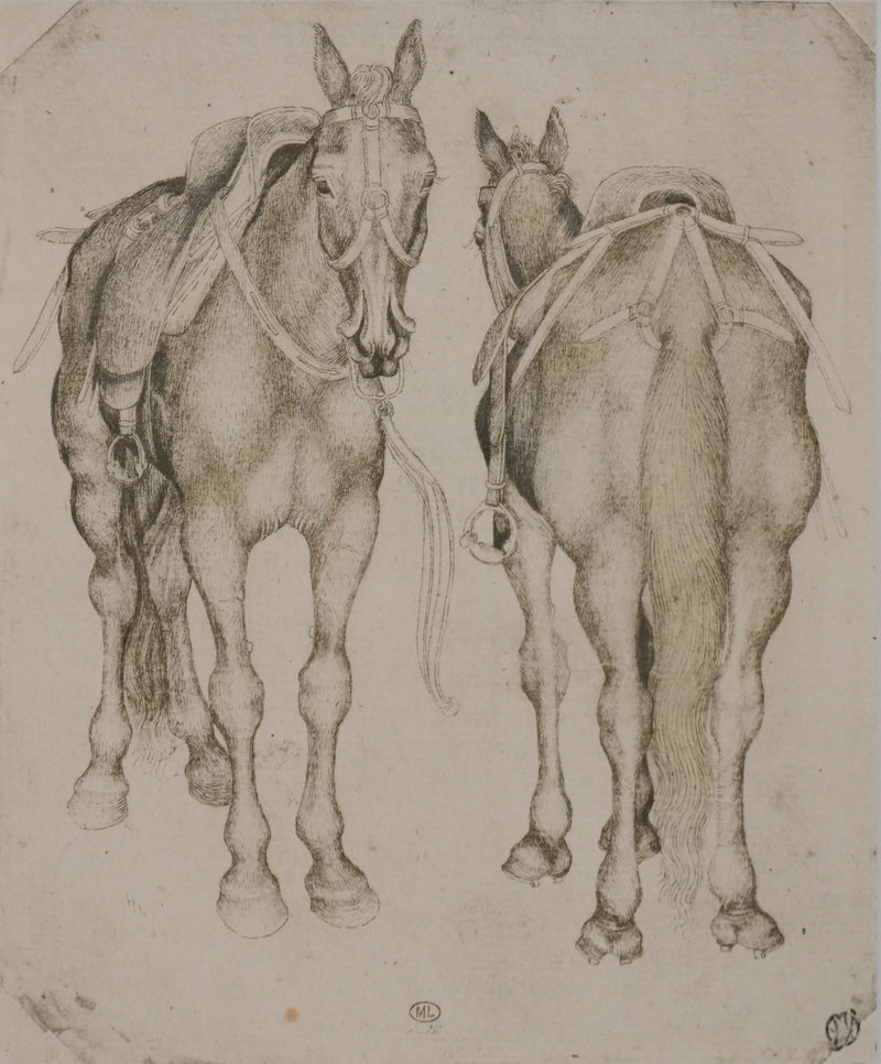 Antonio PISANELLO : Etude des chevaux, Lithographie