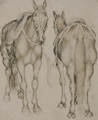 Antonio PISANELLO : Etude des chevaux, Lithographie