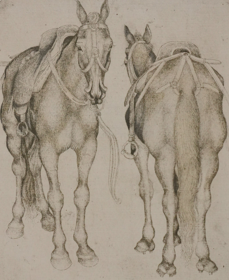 Antonio PISANELLO : Etude des chevaux, Lithographie