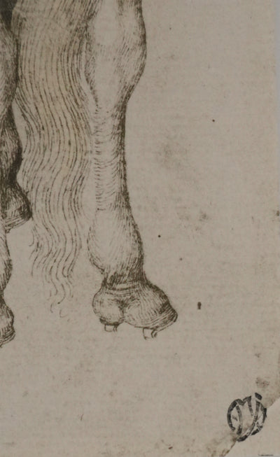 Antonio PISANELLO : Etude des chevaux, Lithographie