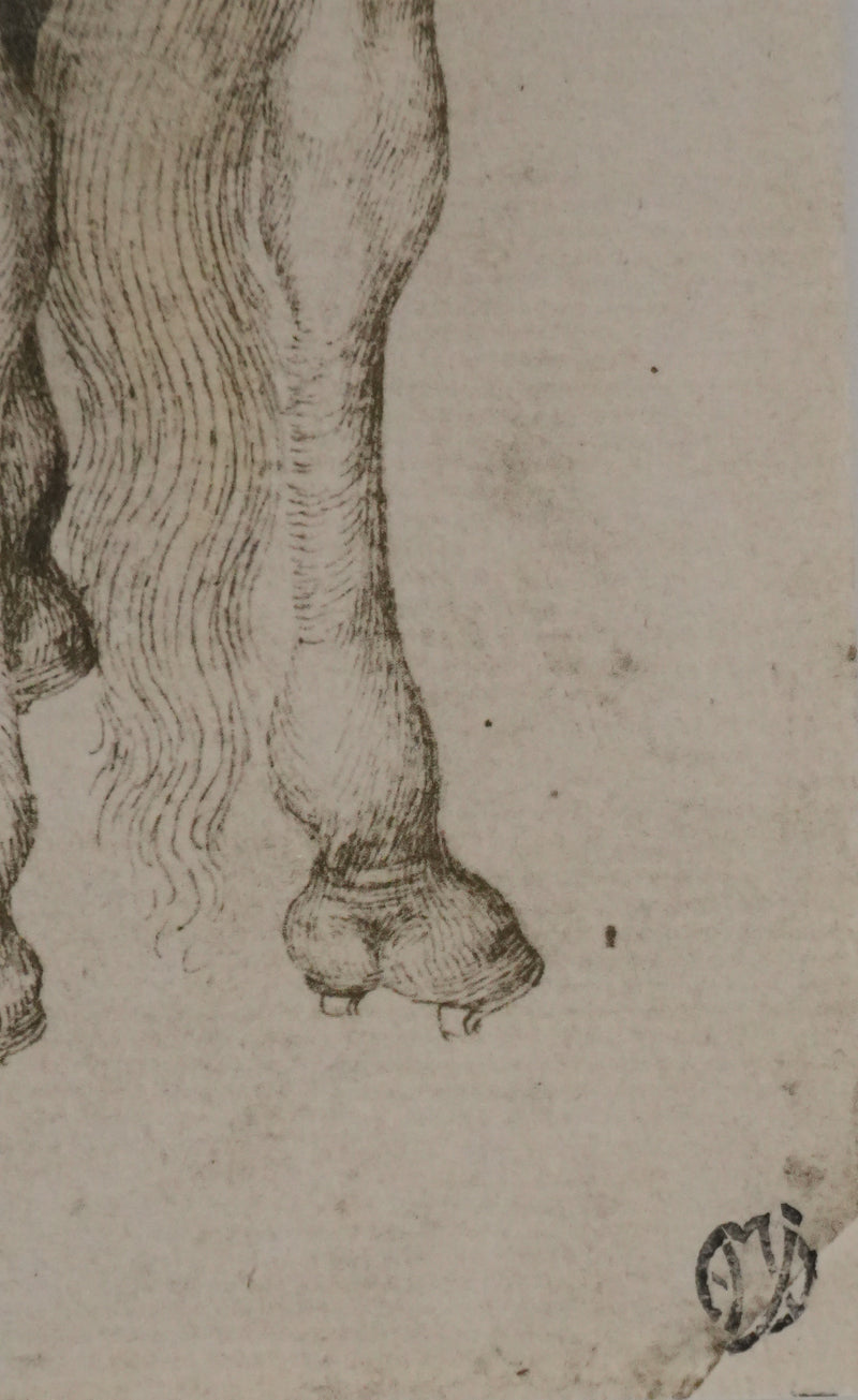 Antonio PISANELLO : Etude des chevaux, Lithographie
