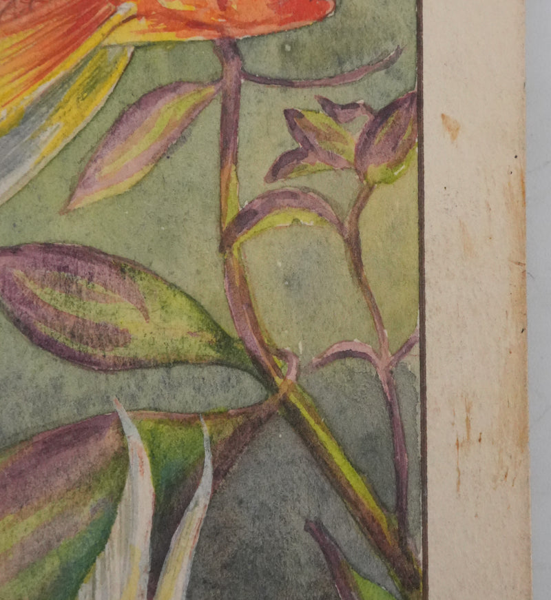 Fernand ANGEL : Carassin doré (télescope, queue en voile et bigarré), Aquarelle originale signée