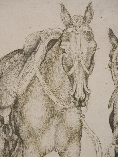Antonio PISANELLO : Etude des chevaux, Lithographie