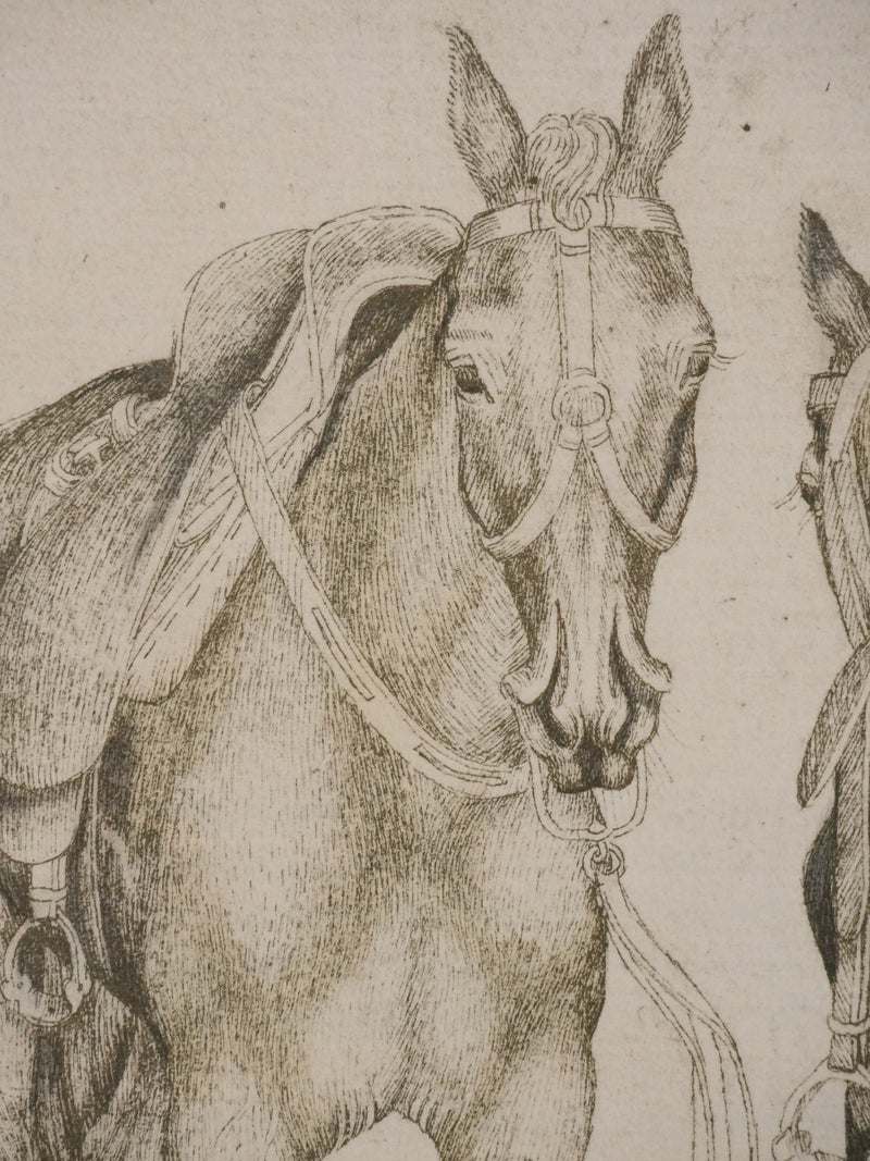 Antonio PISANELLO : Etude des chevaux, Lithographie