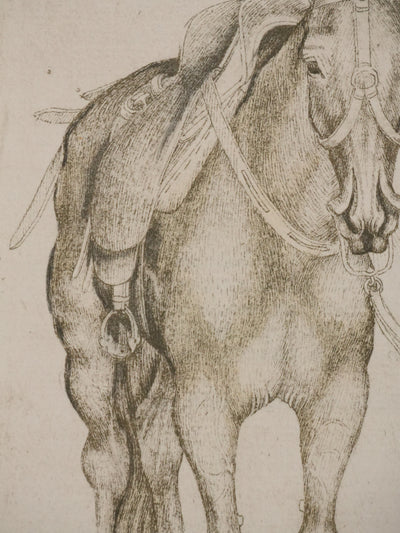 Antonio PISANELLO : Etude des chevaux, Lithographie