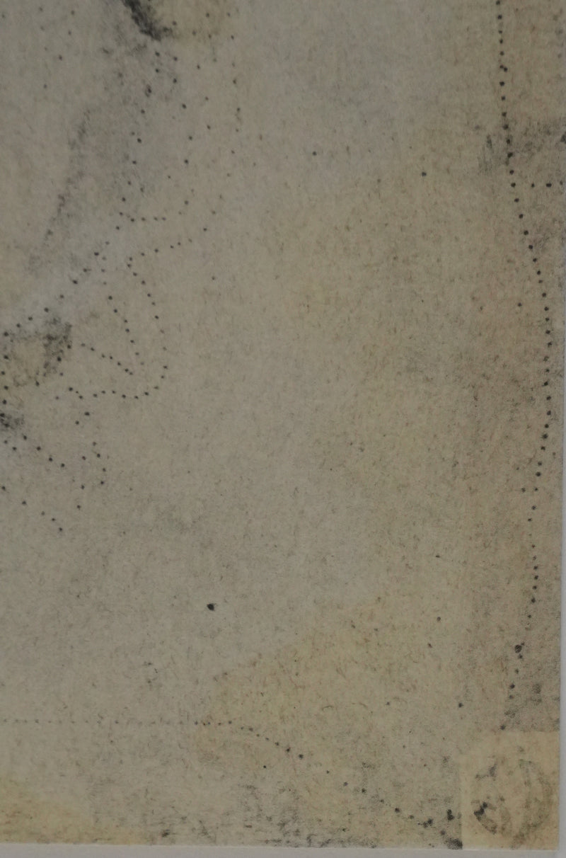 Leonard DE VINCI : Portrait d&