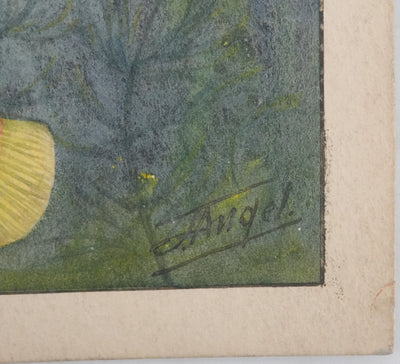 Fernand ANGEL : Guppy, Platy et Molly, Aquarelle originale signée