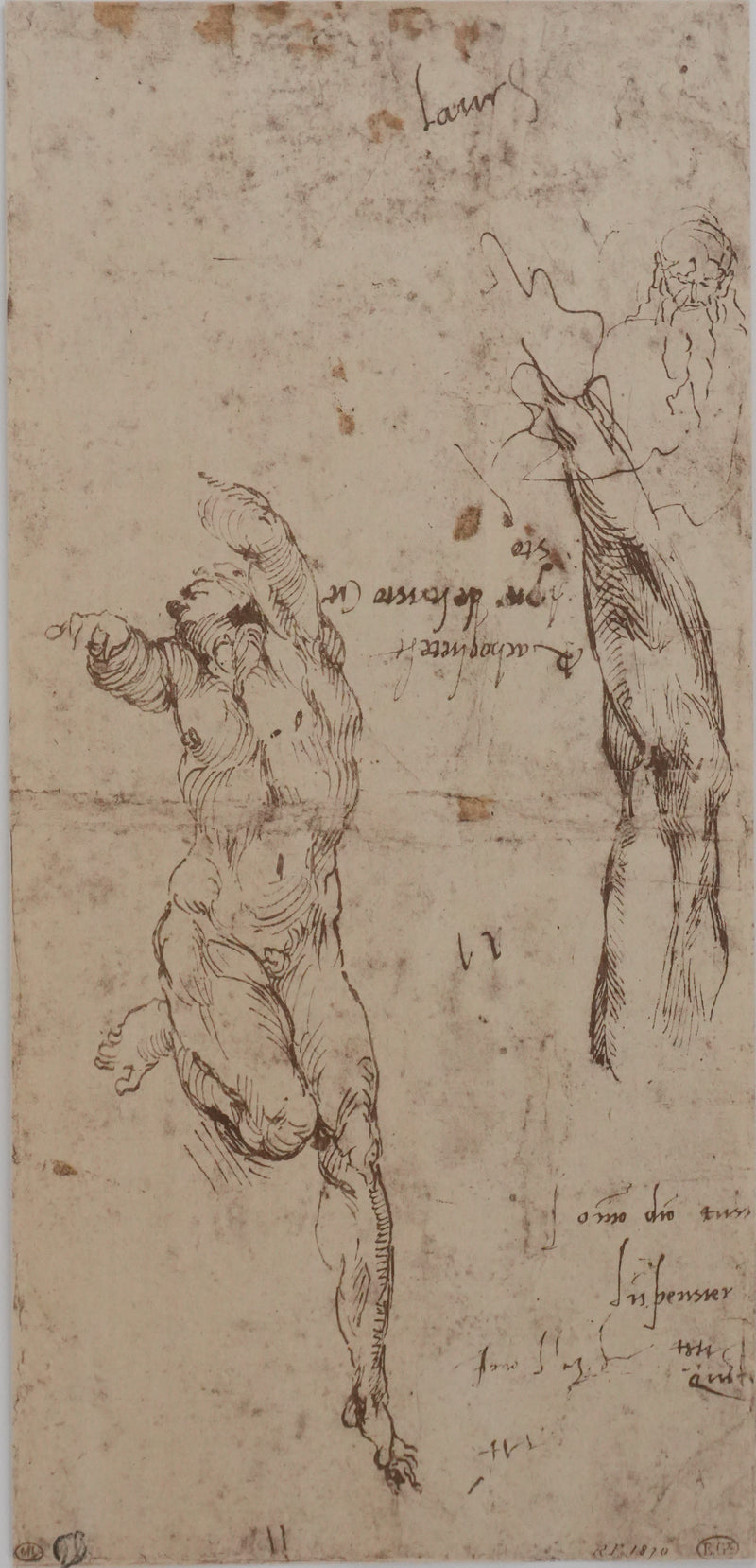 Michel-Ange BUONARROTI : Etude d&