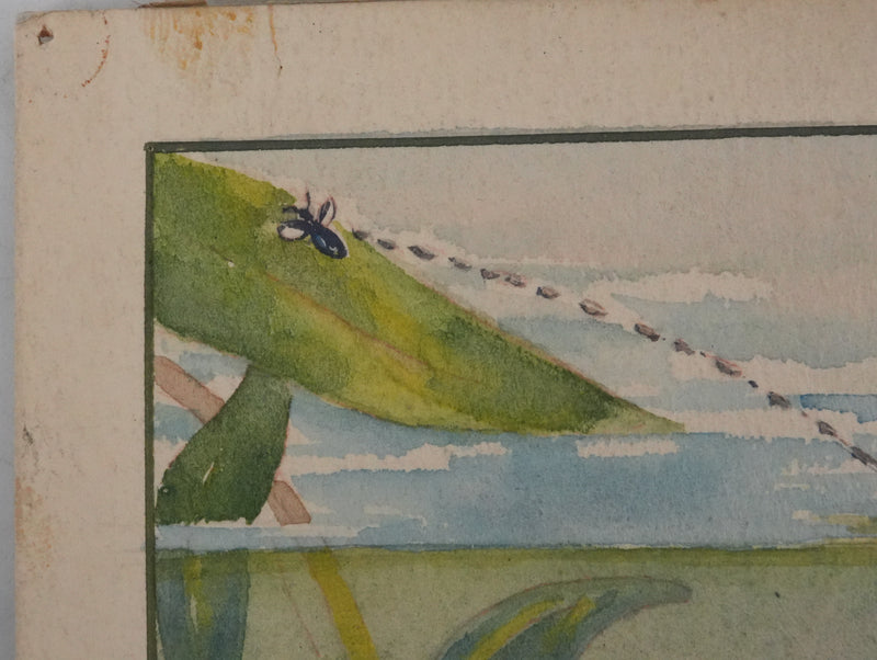 Fernand ANGEL : Perche bleue, Poisson-feuille et Poisson-ange, Aquarelle originale signée