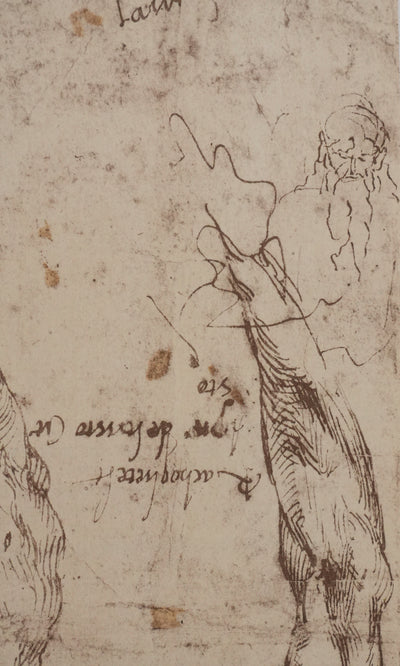 Michel-Ange BUONARROTI : Etude d'un corps, Lithographie