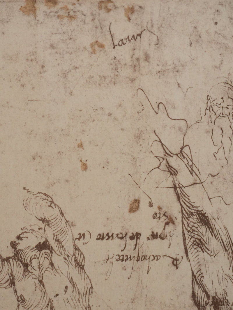 Michel-Ange BUONARROTI : Etude d&