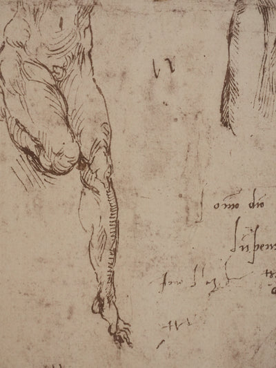 Michel-Ange BUONARROTI : Etude d'un corps, Lithographie