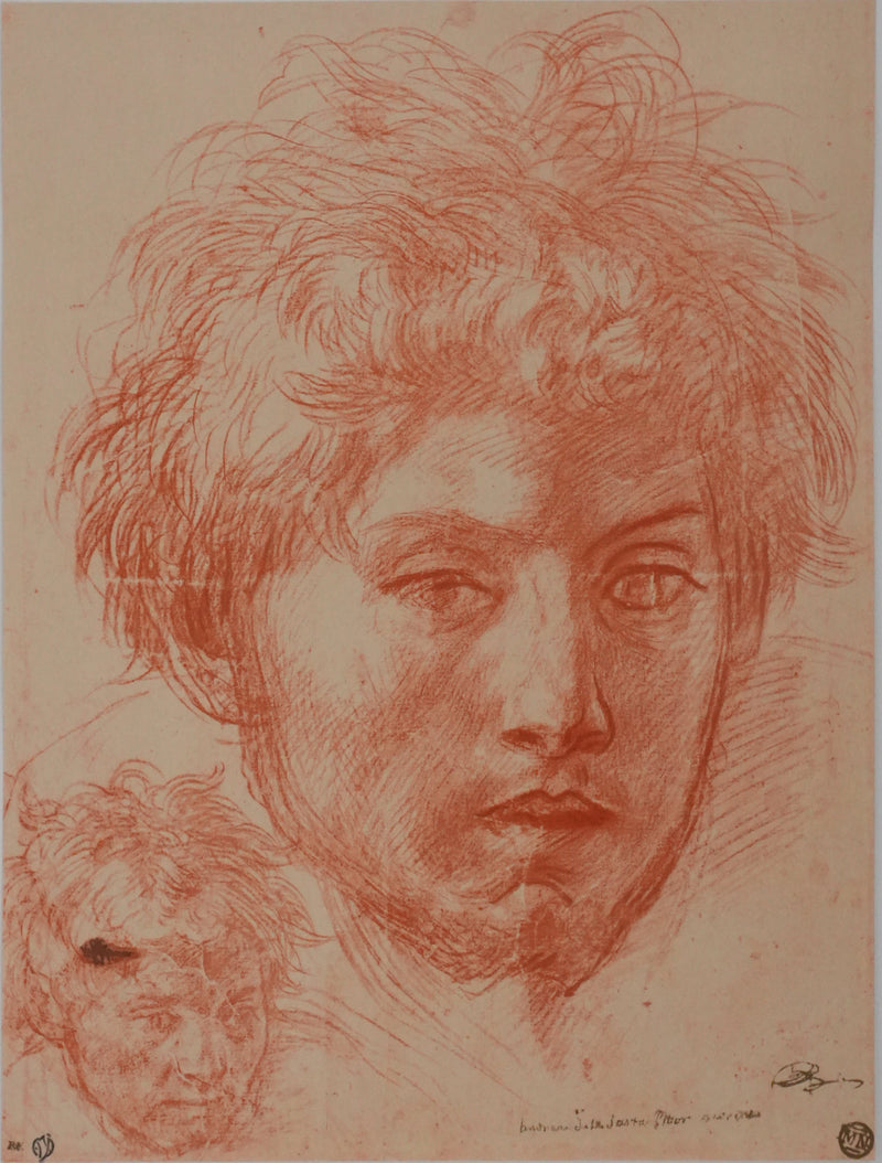 Andréa DEL SARTO : Etude du portrait d&