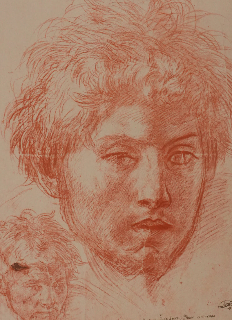 Andréa DEL SARTO : Etude du portrait d&