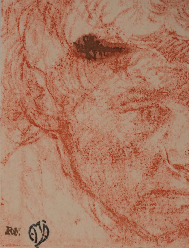 Andréa DEL SARTO : Etude du portrait d&