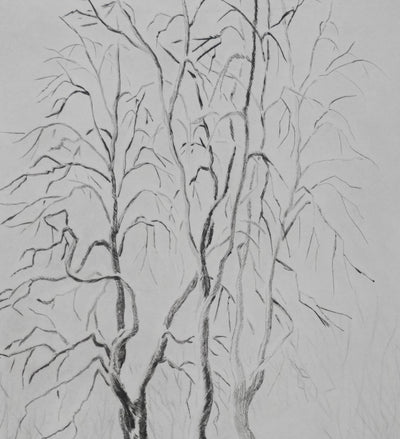 Camille COMBE : La passerelle enneigée, Gravure originale signée