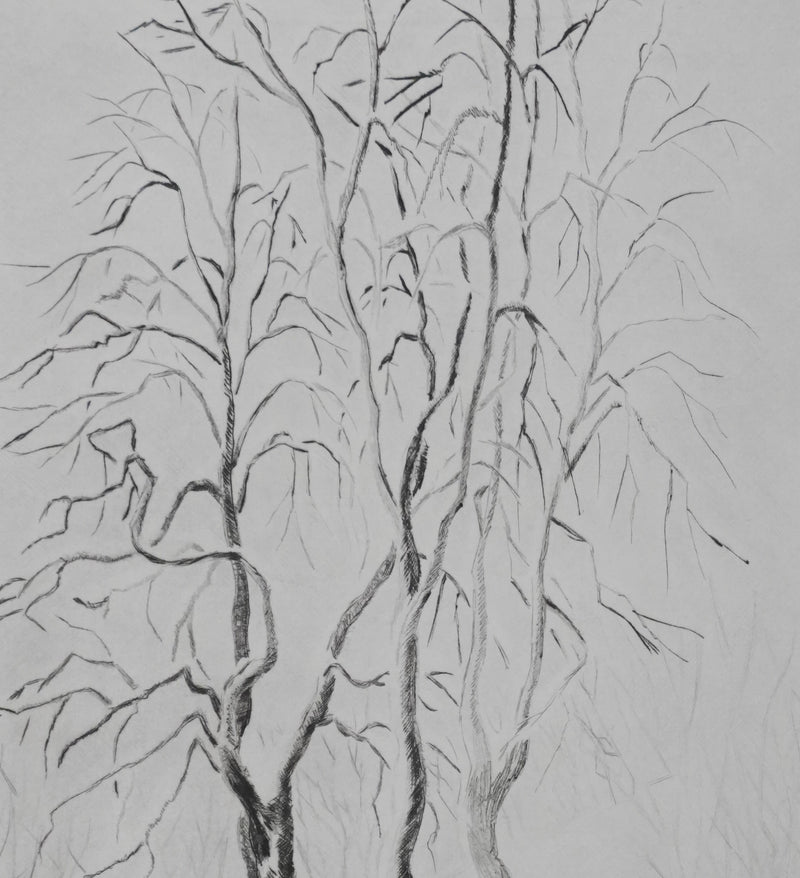 Camille COMBE : La passerelle enneigée, Gravure originale signée