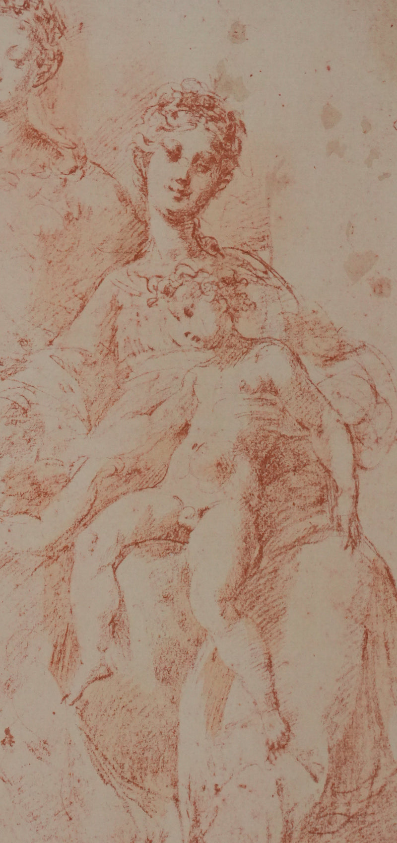 Francesco IL PARMIGIANINO : La Vierge à l&