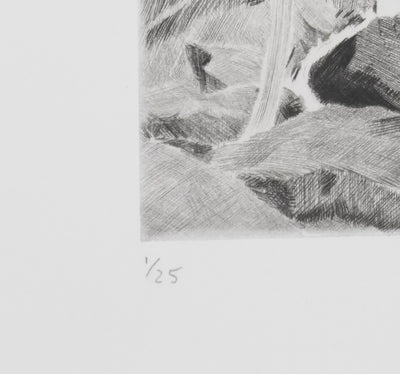 Camille COMBE : La cascade, Gravure originale signée