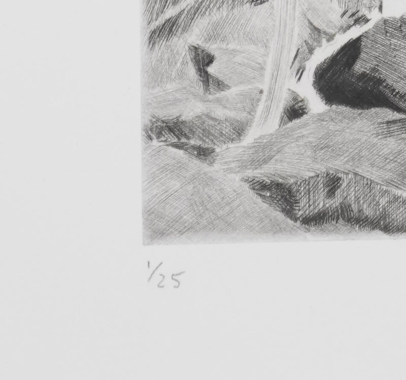 Camille COMBE : La cascade, Gravure originale signée