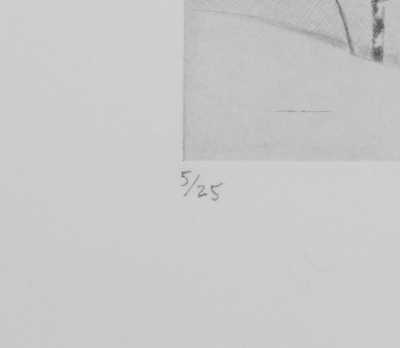 Camille COMBE : Les fantaisies de la neige, Gravure originale signée