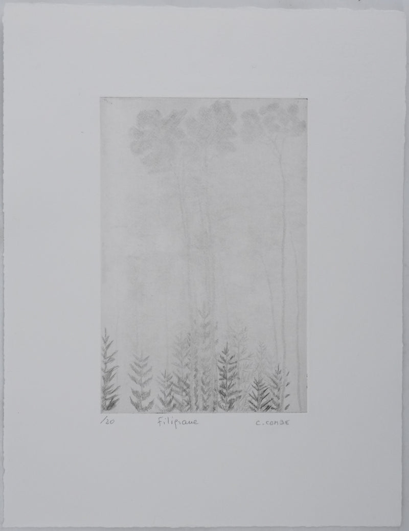 Camille COMBE : Filigrane, Gravure originale signée