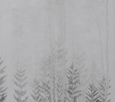 Camille COMBE : Filigrane, Gravure originale signée