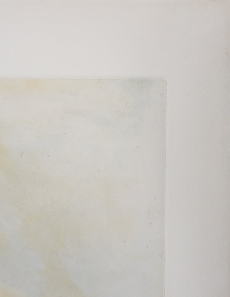 ZAO Wou-Ki : Au fond du lac, Gravure originale signée