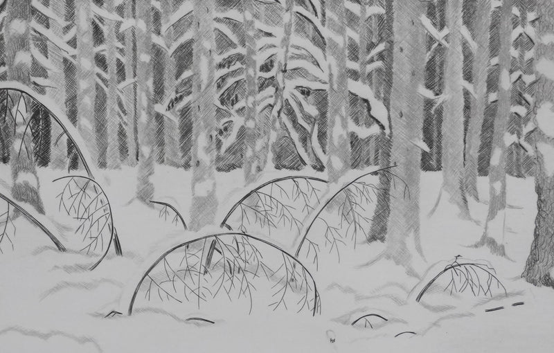 Camille COMBE : Sous bois, Gravure originale signée