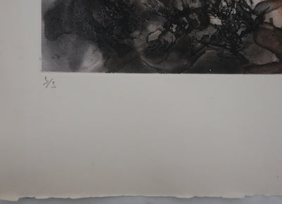 ZAO Wou-Ki : Au fond de l'eau, Gravure originale signée