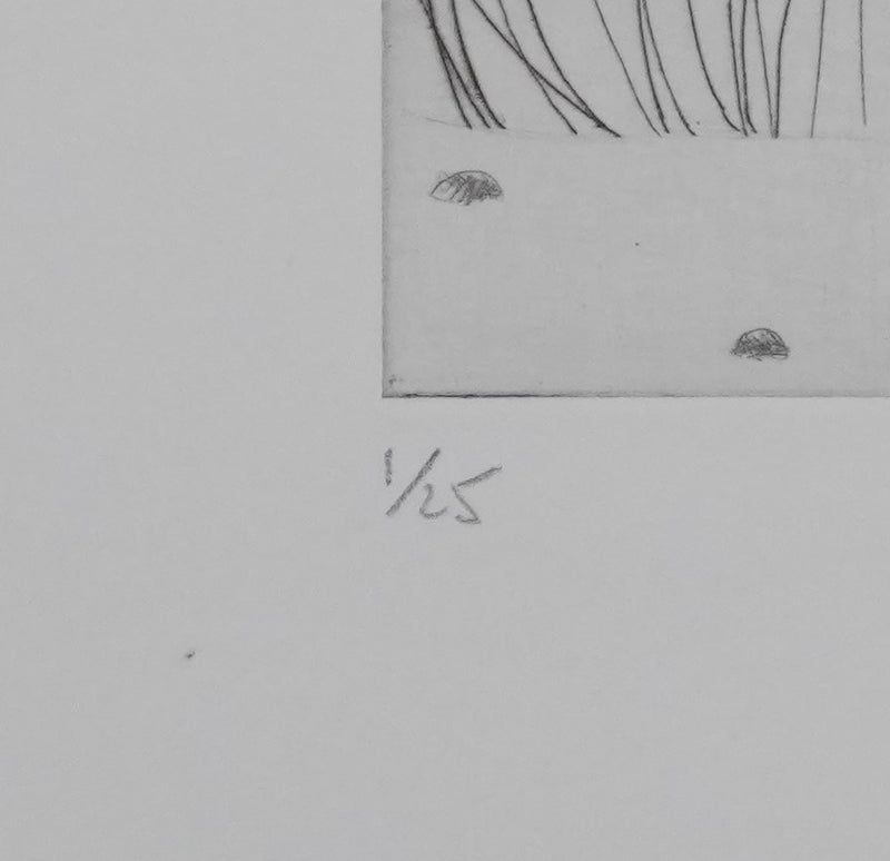 Camille COMBE : Instant fugace, Gravure originale signée