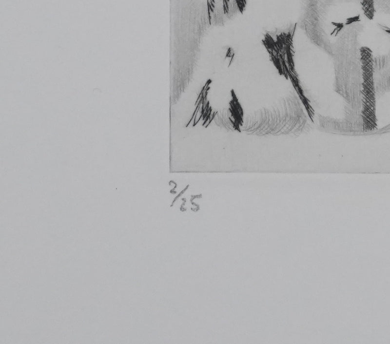 Camille COMBE : Métamorphose, Gravure originale signée