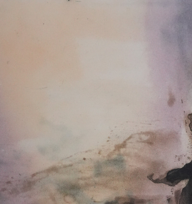 ZAO Wou-Ki : Reflets de l&