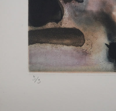 ZAO Wou-Ki : Reflets de l'étang, Gravure originale signée