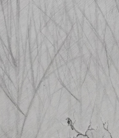 Camille COMBE : Au petit matin, Gravure originale signée