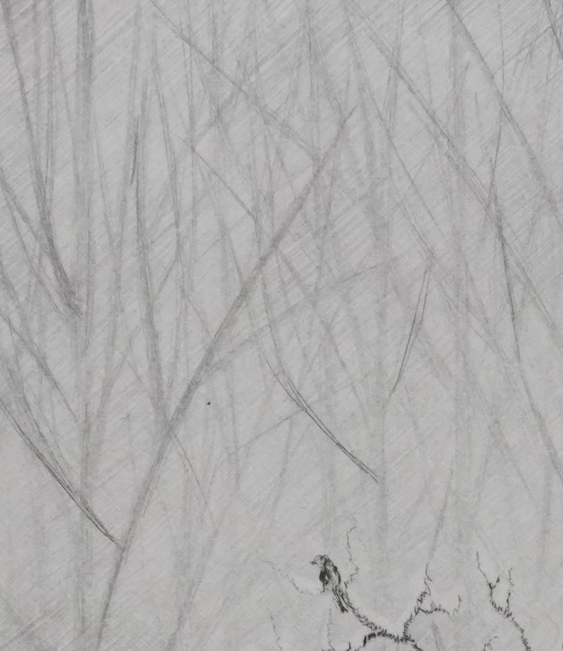 Camille COMBE : Au petit matin, Gravure originale signée