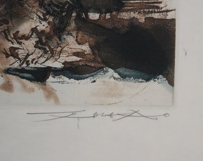 ZAO Wou-Ki : L'étang mouvementé (Japon), Gravure originale signée