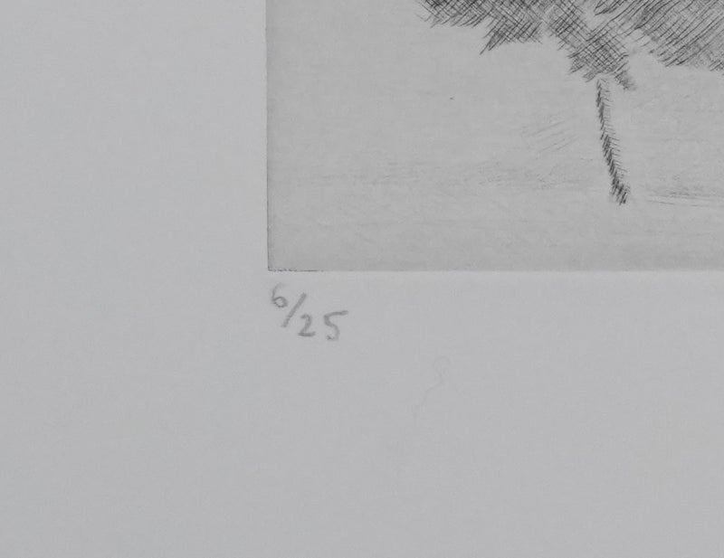 Camille COMBE : Au pays des légendes, Gravure originale signée