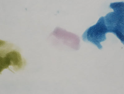 ZAO Wou-Ki : L'étang mouvementé (Etat bleu), Gravure originale signée