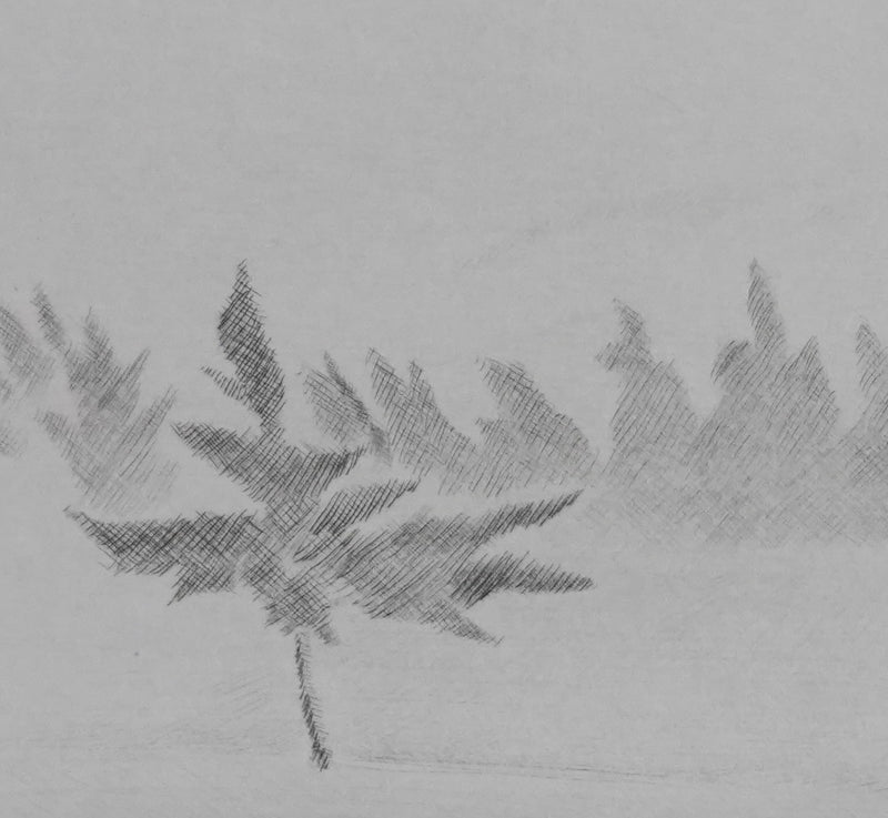 Camille COMBE : Au pays des légendes, Gravure originale signée