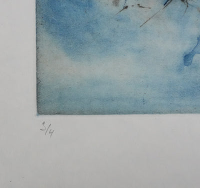 ZAO Wou-Ki : L'étang obscur (Japon), Gravure originale signée