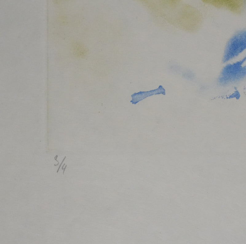 ZAO Wou-Ki : Tempête (Etat vert), Gravure originale